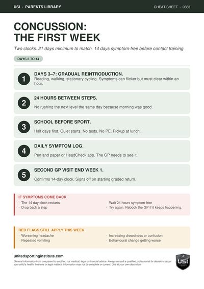 Cheat sheet preview