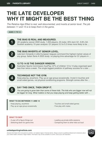 Cheat sheet preview
