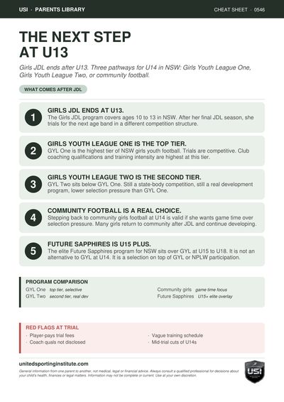 Cheat sheet preview